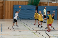 20220723_Spieltag_100-Jahre-Handball-TVH_0039
