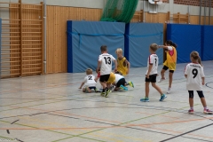 20220723_Spieltag_100-Jahre-Handball-TVH_0054