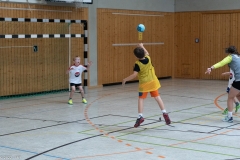 20220723_Spieltag_100-Jahre-Handball-TVH_0069