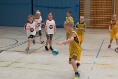 20220723_Spieltag_100-Jahre-Handball-TVH_0071