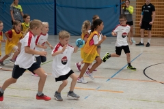 20220723_Spieltag_100-Jahre-Handball-TVH_0095