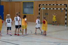 20220723_Spieltag_100-Jahre-Handball-TVH_0097