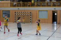 20220723_Spieltag_100-Jahre-Handball-TVH_0129