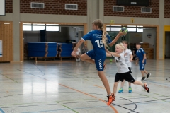 20220723_Spieltag_100-Jahre-Handball-TVH_0205