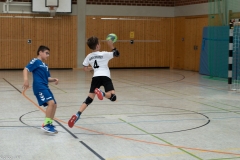 20220723_Spieltag_100-Jahre-Handball-TVH_0212