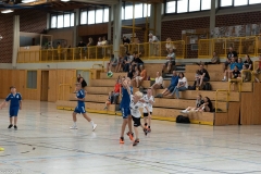 20220723_Spieltag_100-Jahre-Handball-TVH_0217