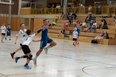 20220723_Spieltag_100-Jahre-Handball-TVH_0220