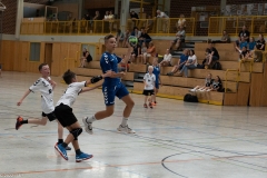 20220723_Spieltag_100-Jahre-Handball-TVH_0221