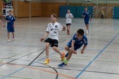20220723_Spieltag_100-Jahre-Handball-TVH_0232