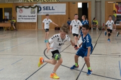 20220723_Spieltag_100-Jahre-Handball-TVH_0243