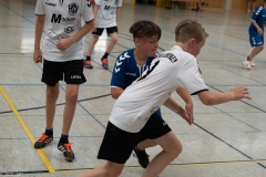 20220723_Spieltag_100-Jahre-Handball-TVH_0259