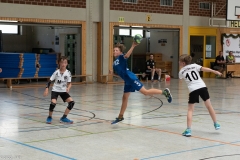 20220723_Spieltag_100-Jahre-Handball-TVH_0264