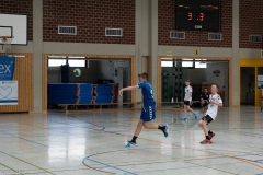 20220723_Spieltag_100-Jahre-Handball-TVH_0274
