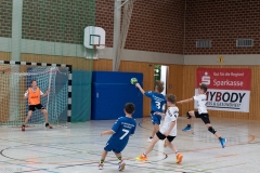 20220723_Spieltag_100-Jahre-Handball-TVH_0276
