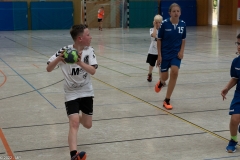 20220723_Spieltag_100-Jahre-Handball-TVH_0283