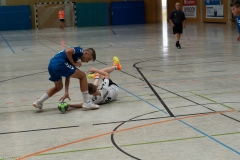20220723_Spieltag_100-Jahre-Handball-TVH_0285