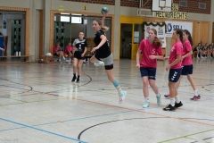 20220723_Spieltag_100-Jahre-Handball-TVH_0322