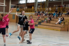 20220723_Spieltag_100-Jahre-Handball-TVH_0346