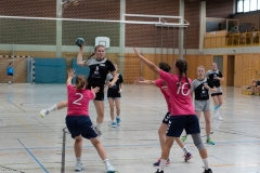 20220723_Spieltag_100-Jahre-Handball-TVH_0350
