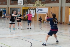 20220723_Spieltag_100-Jahre-Handball-TVH_0362