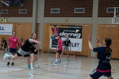 20220723_Spieltag_100-Jahre-Handball-TVH_0367