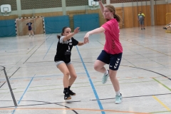 20220723_Spieltag_100-Jahre-Handball-TVH_0387