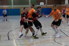 20220723_Spieltag_100-Jahre-Handball-TVH_0422