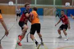 20220723_Spieltag_100-Jahre-Handball-TVH_0432