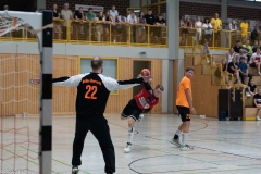 20220723_Spieltag_100-Jahre-Handball-TVH_0444