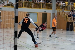 20220723_Spieltag_100-Jahre-Handball-TVH_0445