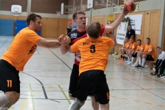 20220723_Spieltag_100-Jahre-Handball-TVH_0447