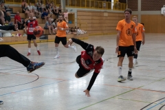 20220723_Spieltag_100-Jahre-Handball-TVH_0455