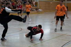 20220723_Spieltag_100-Jahre-Handball-TVH_0456