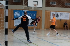 20220723_Spieltag_100-Jahre-Handball-TVH_0502