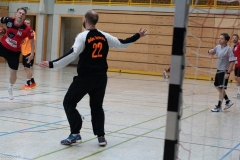 20220723_Spieltag_100-Jahre-Handball-TVH_0510