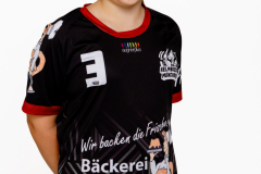 33-25946-SG-Helmbr-Mueb-0955