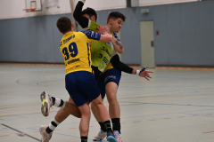Bild085