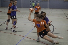 20191027_Damen-I-gegen-HC-Bamberg_0014