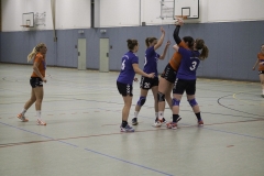 20191027_Damen-I-gegen-HC-Bamberg_0096