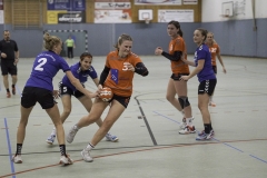 20191027_Damen-I-gegen-HC-Bamberg_0116