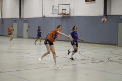 20191027_Damen-I-gegen-HC-Bamberg_0124