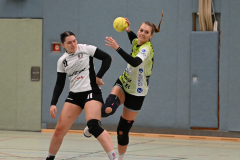 Bild043